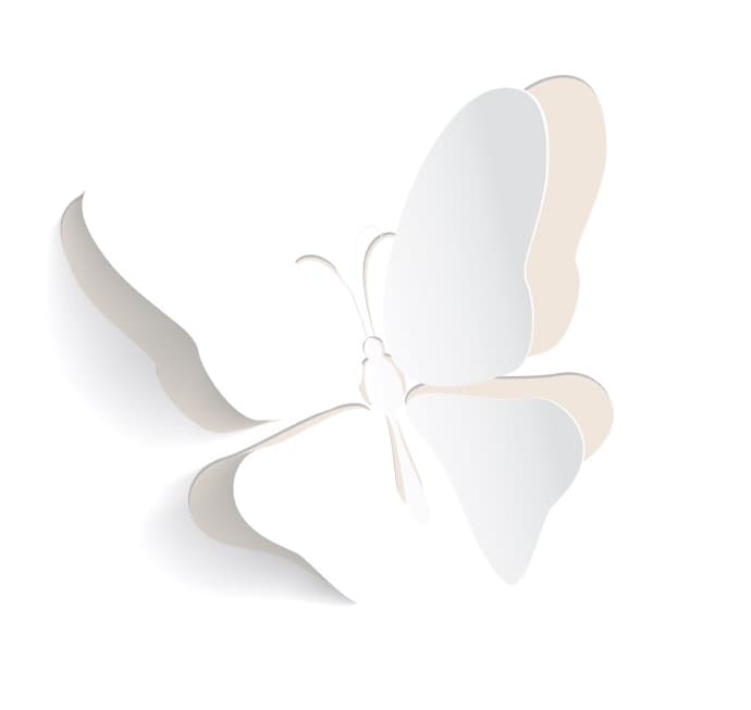 Decorative layered paper butterfly motif